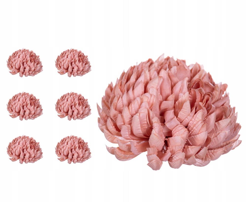 

Chryzantema ananas beżowo brzoskwiniowa 6 sztuk