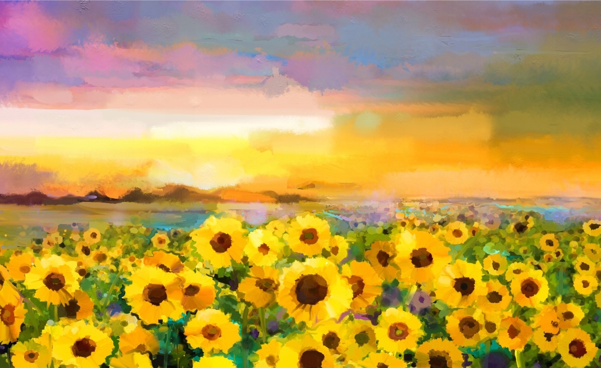 

Fototapeta Flizelinowa Pole słoneczników 416x254