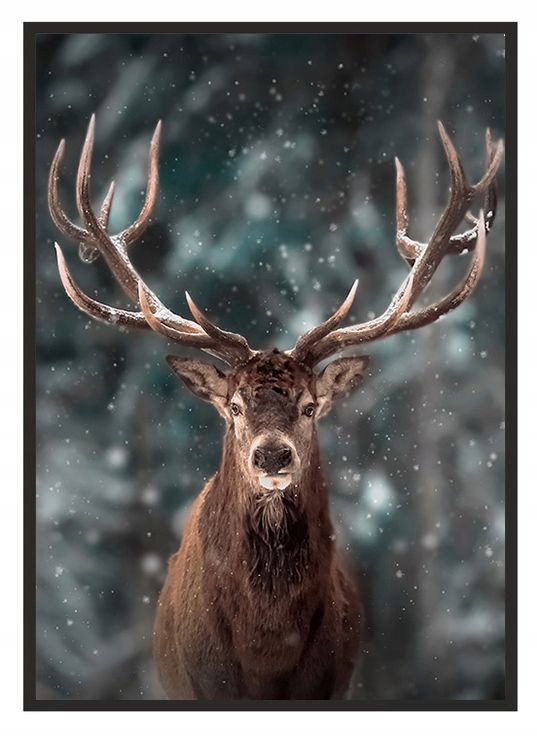 

Obraz Plakat W Ramie 53x73 cm Jeleń P1899