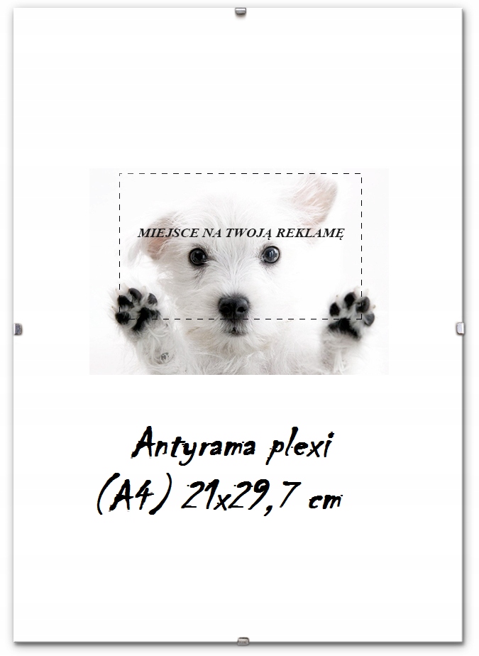 

Antyrama Plexi 21x29,7 (A4) Ramka 29,7x21, Dyplom