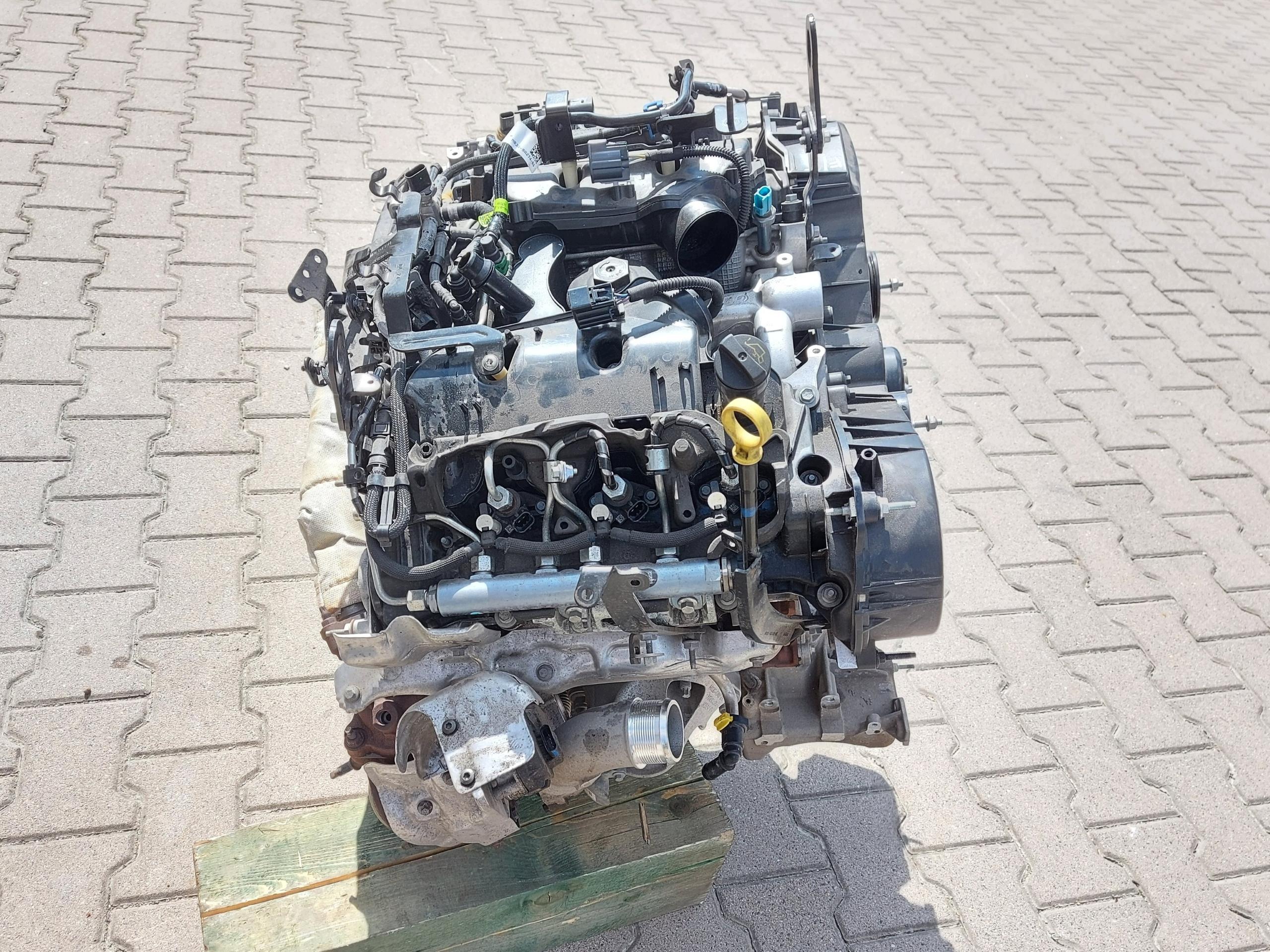 Ford Ranger VI 6 2024r. 3.0 TDCI engine 3.0 TDCI EcoBlue 240KM, BF2X DXWB