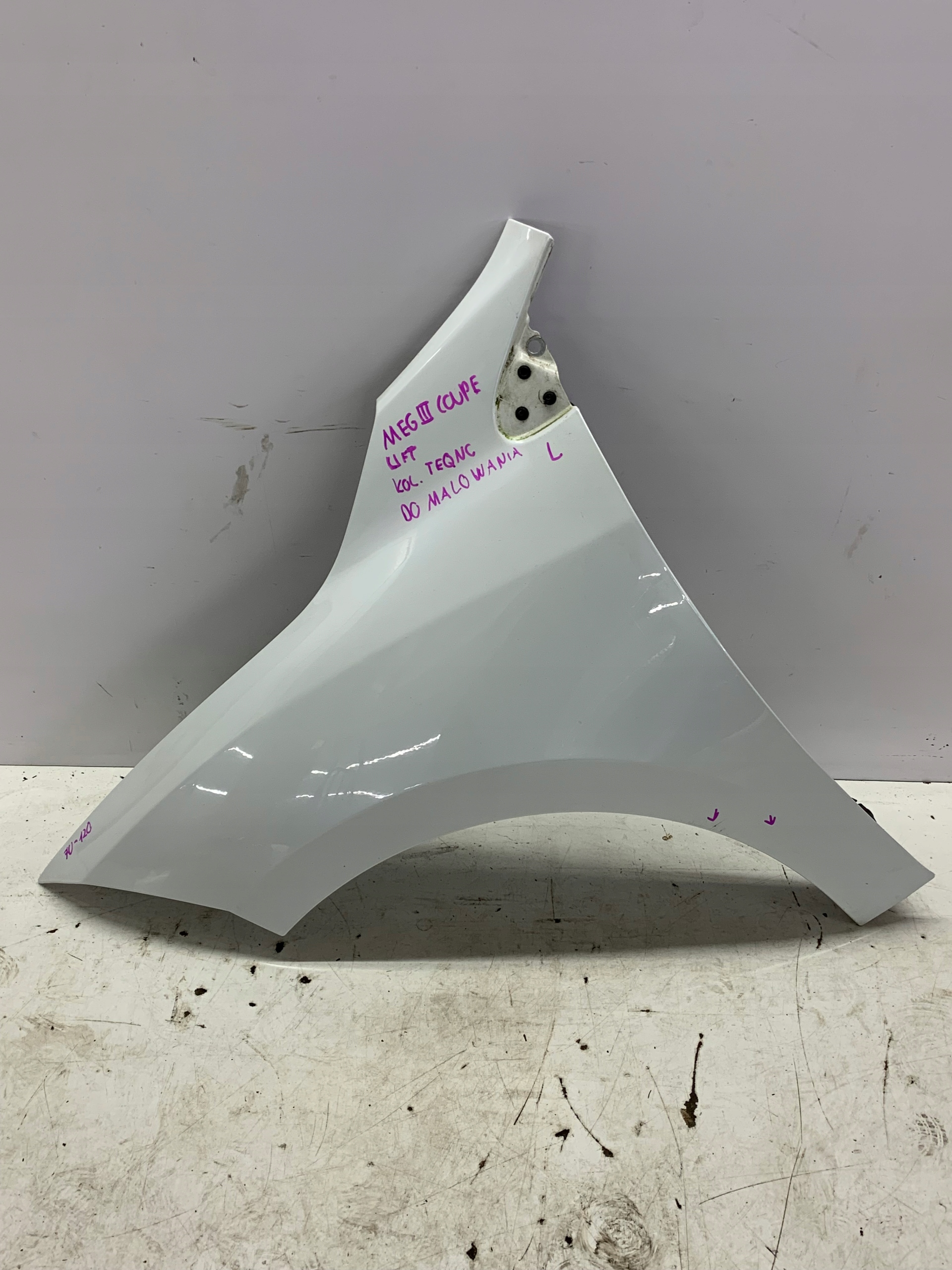 fender left front RENAULT MEGANE III COUPE GT LINE 2012 TEQNC