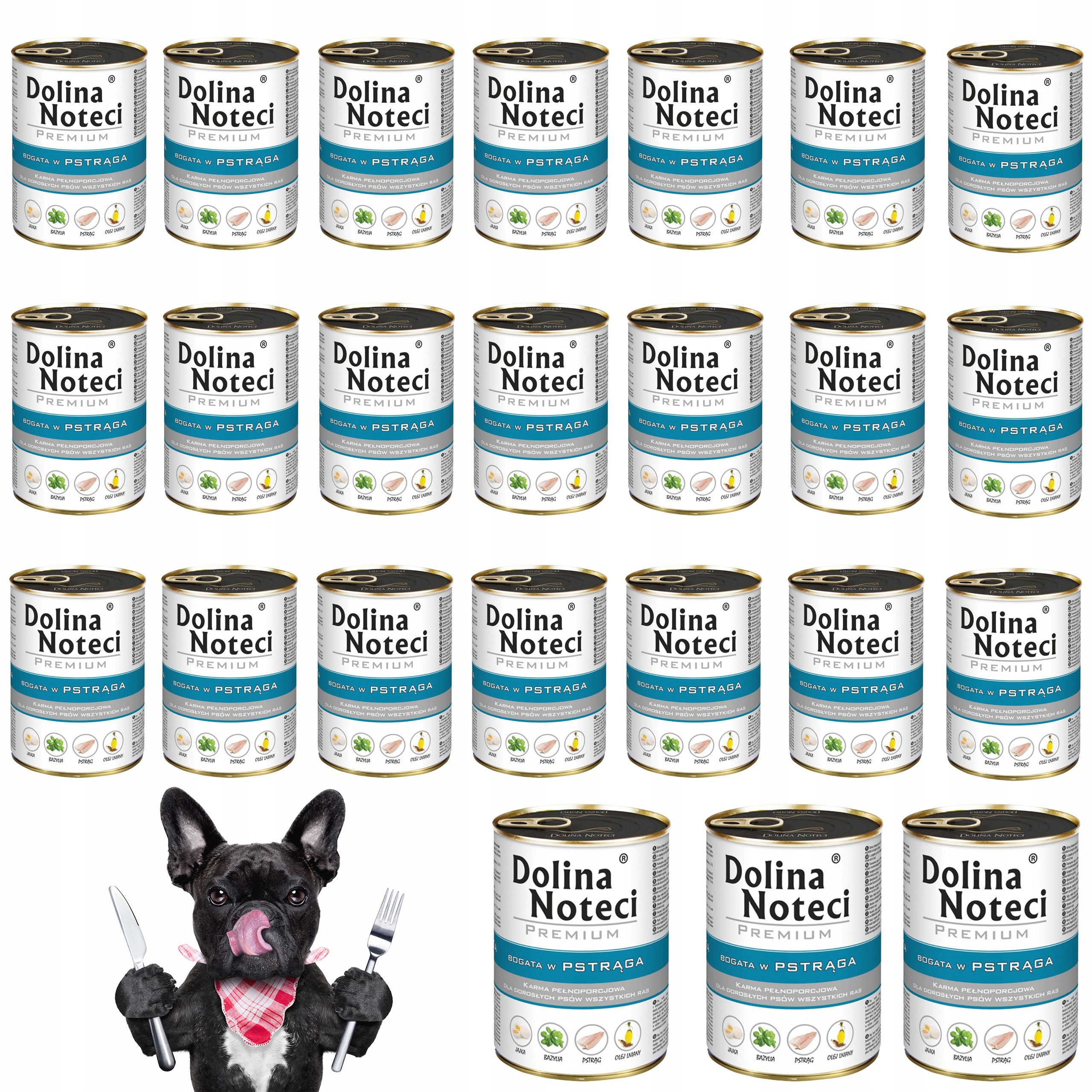 Levně Dolina Noteci Premium Krmivo pro psy Pstruh 24x400g