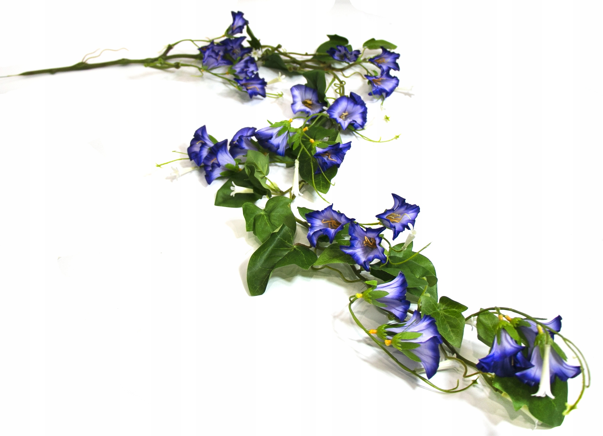 

Petunia Bluszcz Dzwonki Fioletowe 120cm