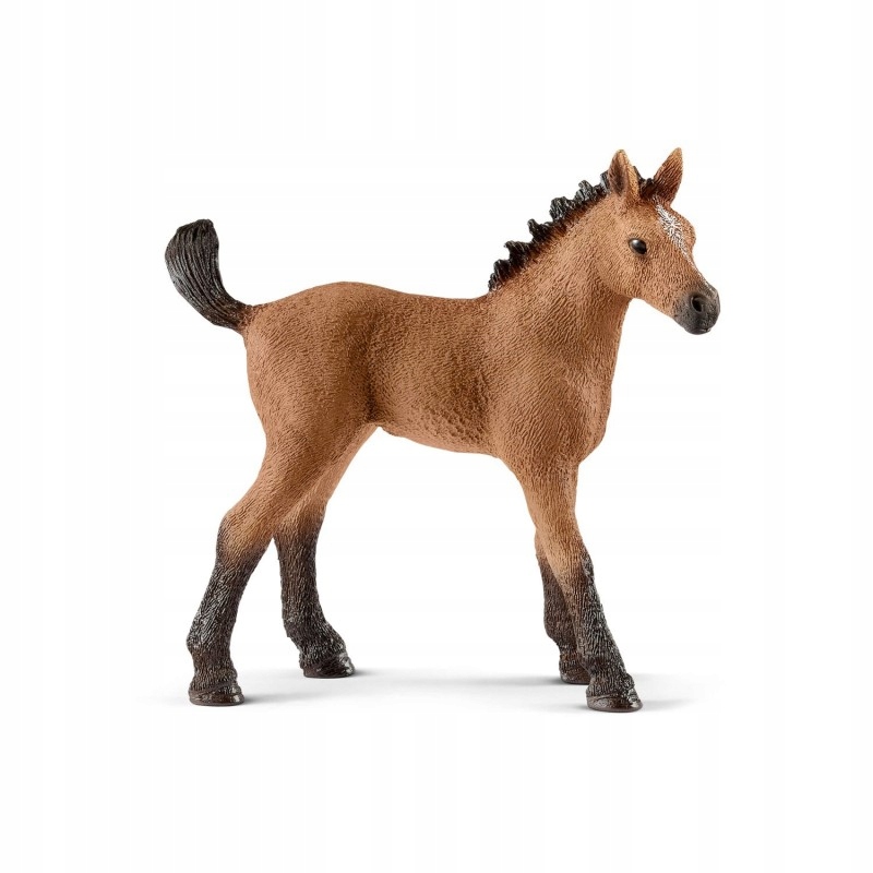 

Schleich Figurka Rasa Quarter Koń Źrebię 13854