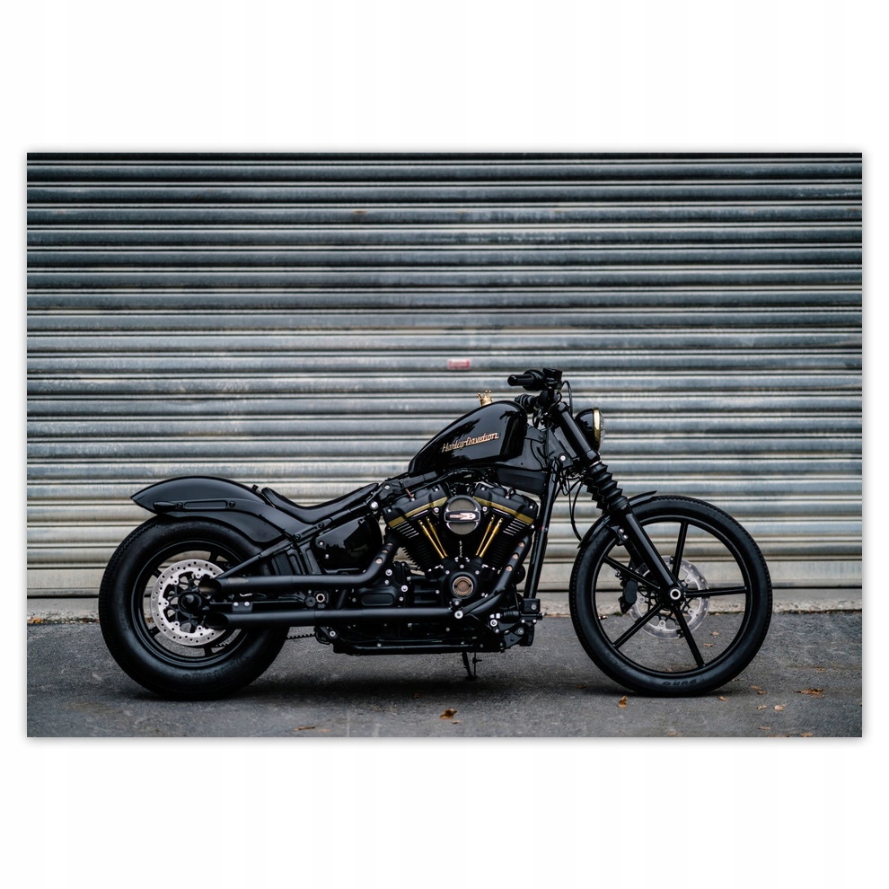 

Naklejki 100x70 Harley Davidson Motor