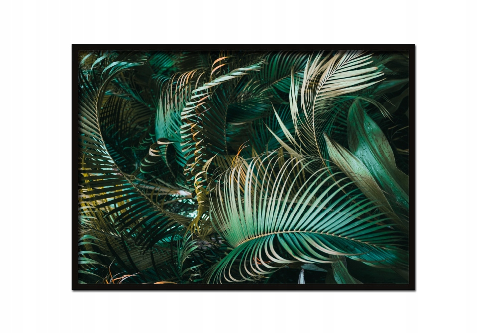 OBRAZ PLAKAT W RAMIE 53x73 cm Liście Poz P644