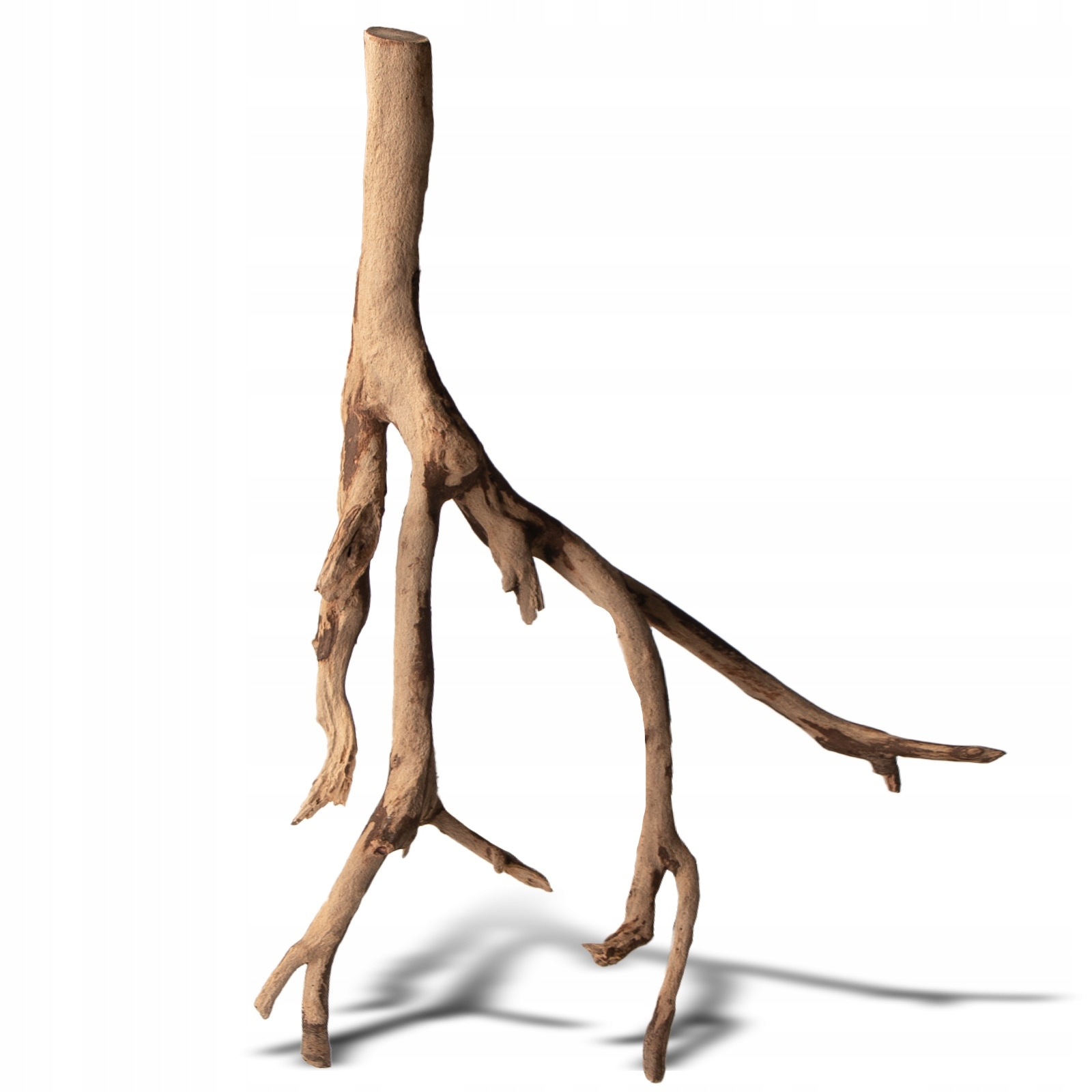 Levně Pravý Kořen Mangrovníku Pro Akvárium 60 150L