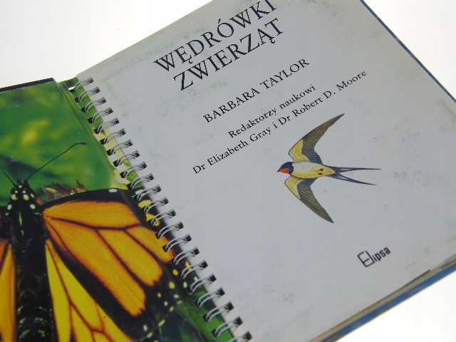 WĘDRÓWKI ZWIERZĄT ODKRYWAMY ŚWIAT TAYLOR Wydawnictwo AA