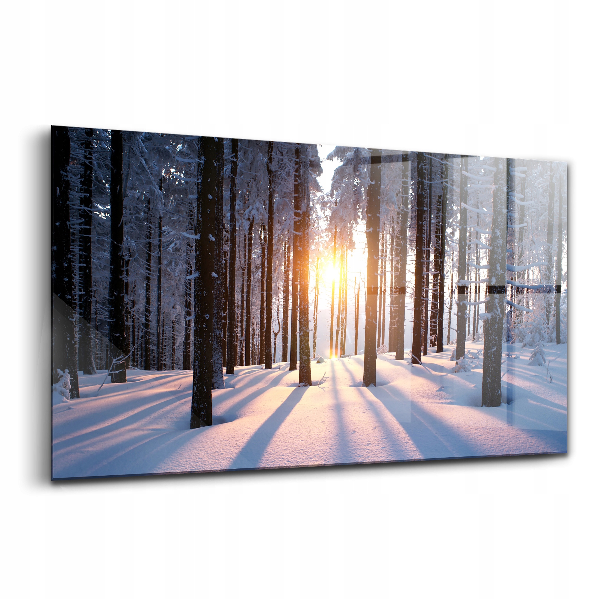 Skleněná dekorace na zeď Západ slunce Les Zima