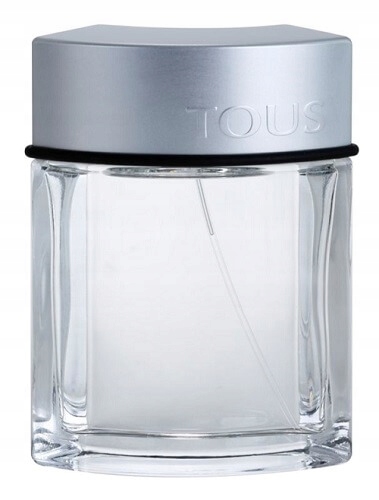 Tous Man Edt 100 ml
