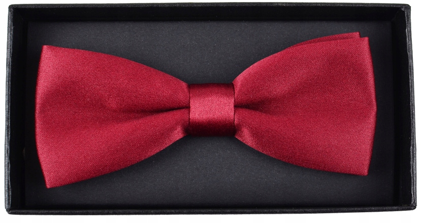 MUCHA MUSZKA MĘSKA GŁADKA BORDOWA