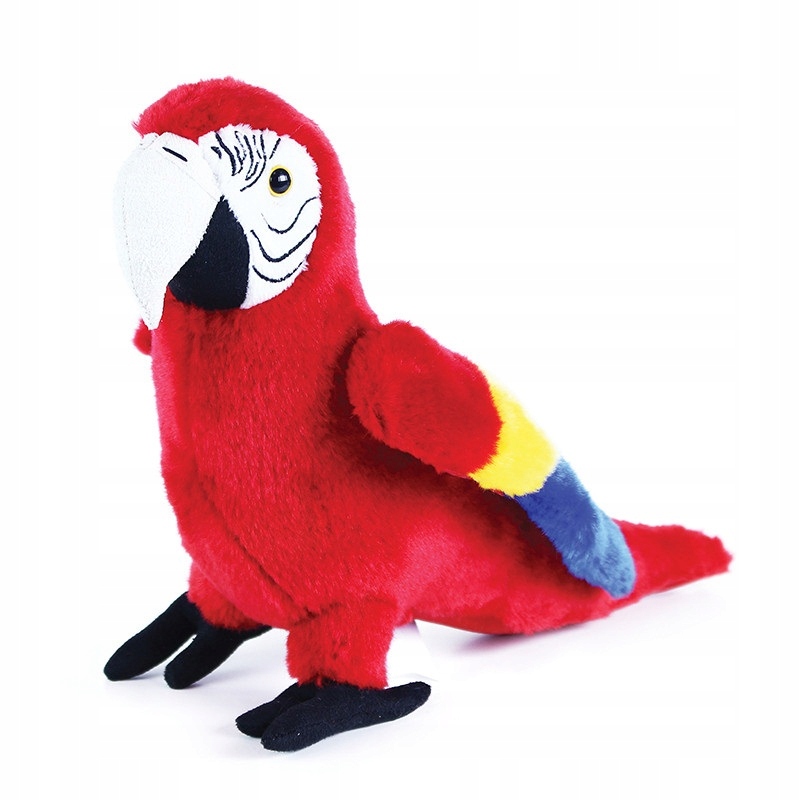 

Papuga Ara realistyczna 30 cm jakość
