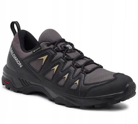 Pánské boty Salomon X Braze Gtx L47180500 Vel. 42