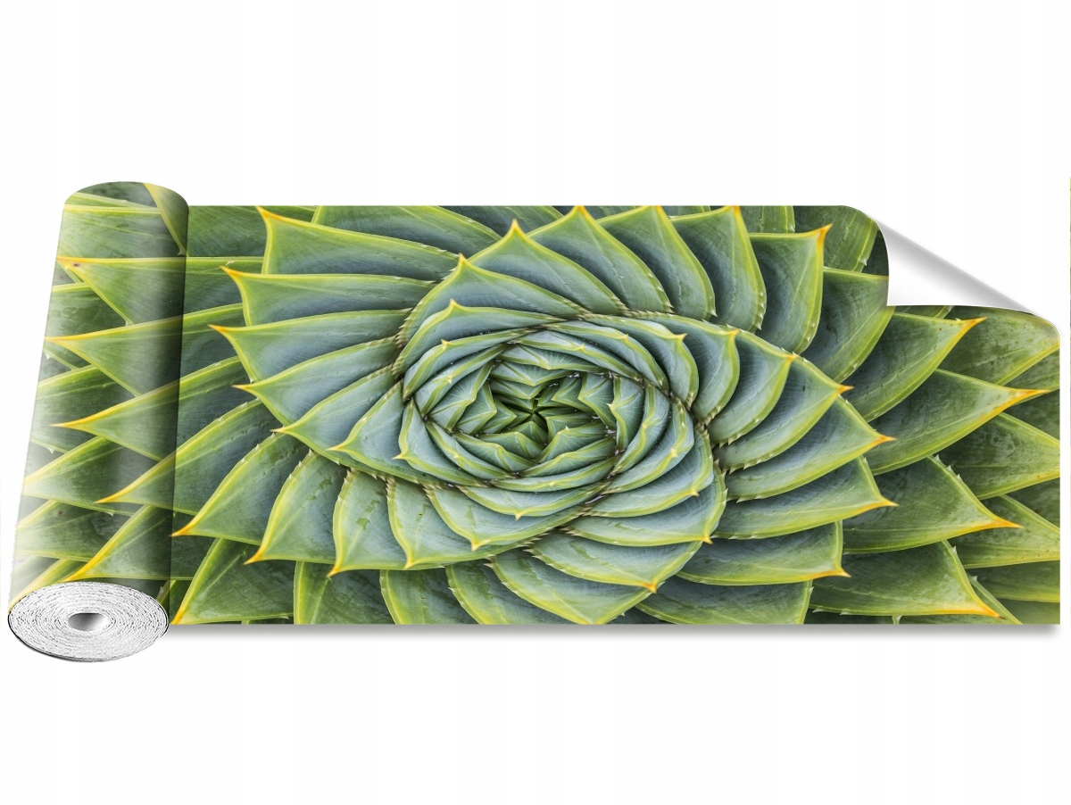 

Tapeta Samoprzylepna Aloes Symetria 250x104