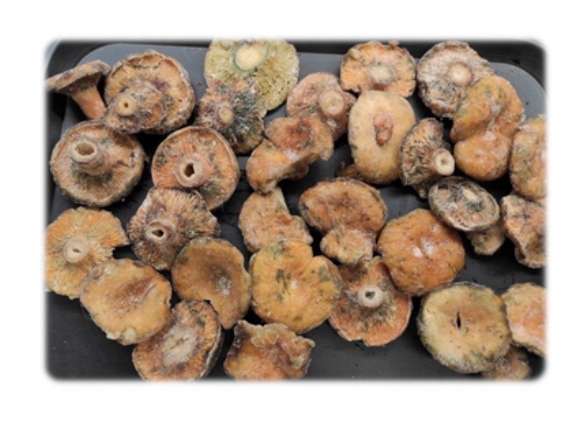 Levně Devaldano Rydz celý 900g