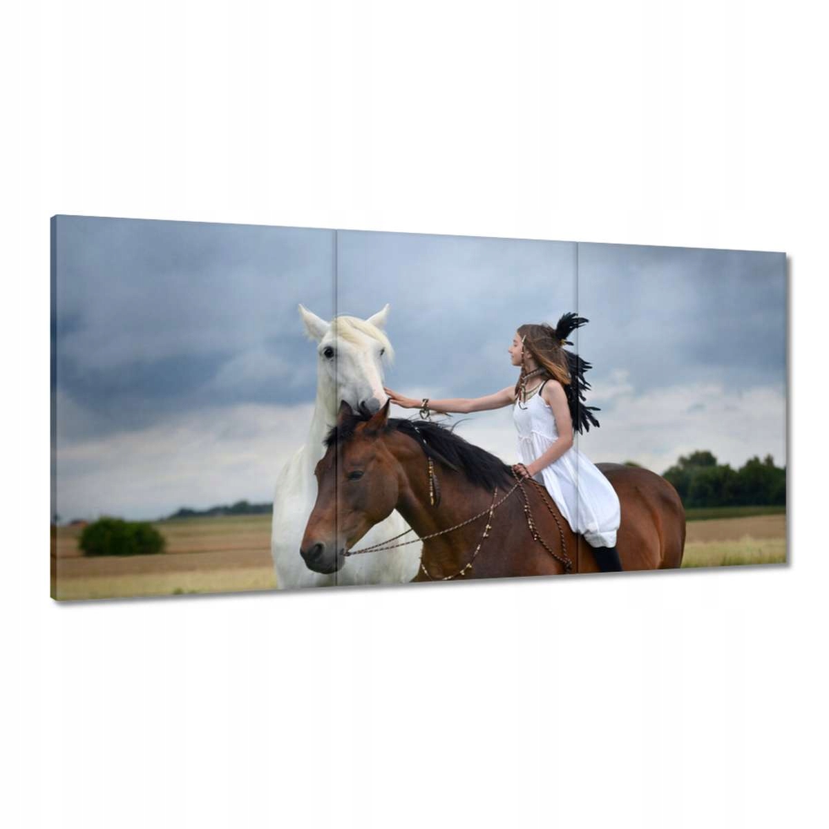 Obrazy 180x90 Kôň Kone Jazdenie