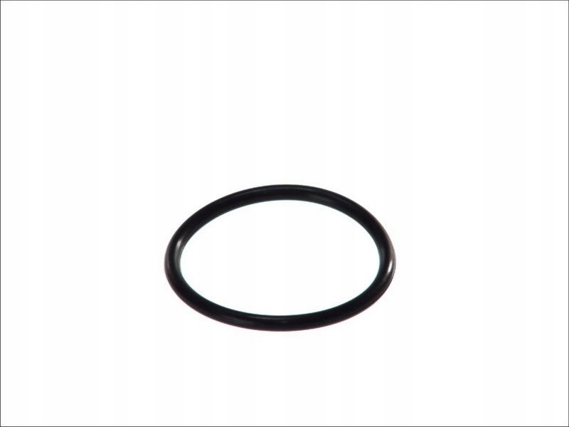 Uszczelka termostatu HANS PRIES 100 618