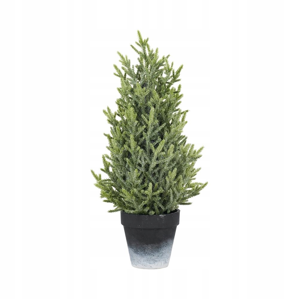 

Choinka oszroniona 50 cm w doniczce Villa Italia