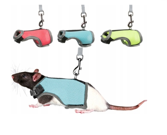 SZELKI PEŁNE DLA SZCZURKA SZCZURA TRIXIE