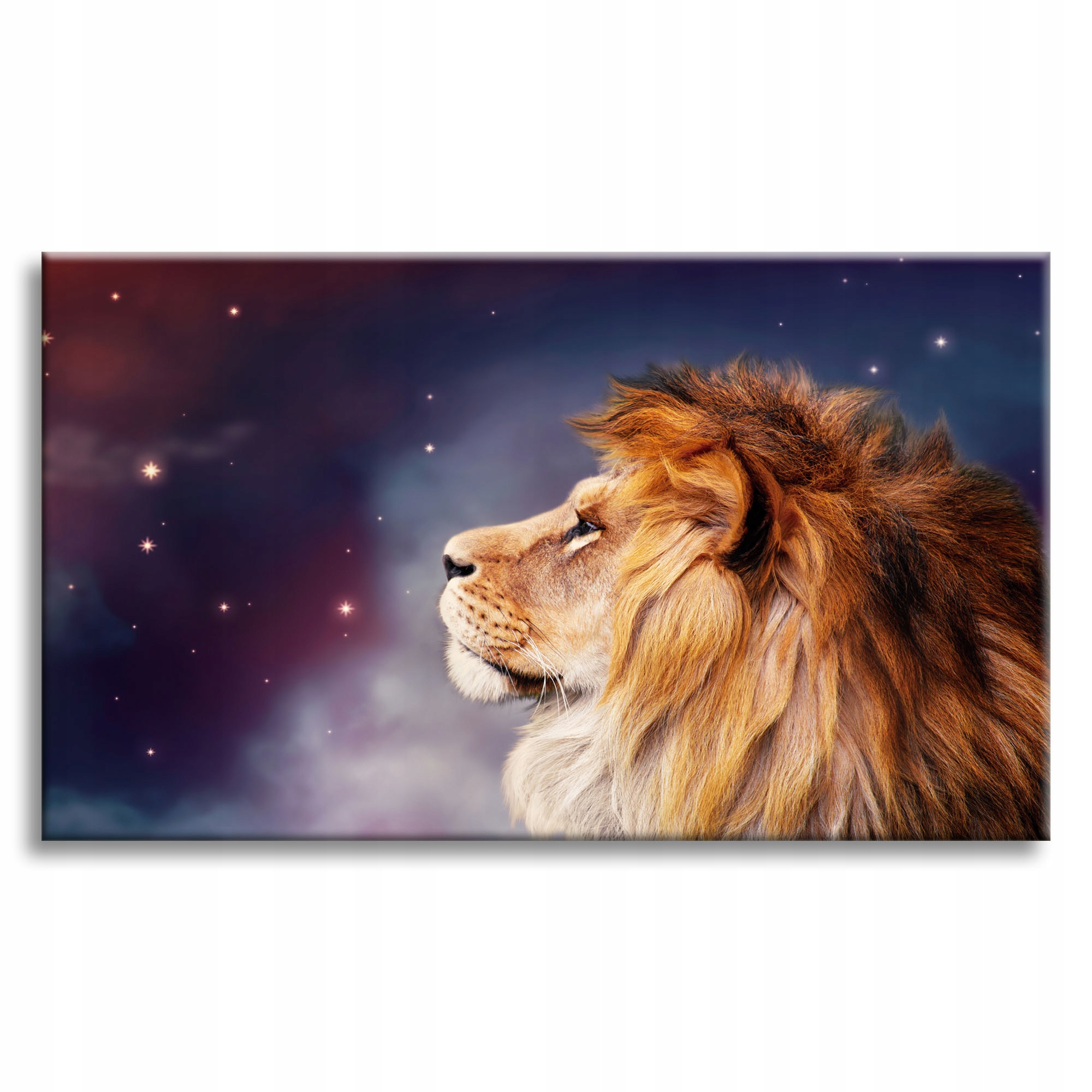 Obraz na plátně Tvář lva mezi hvězdami 90x60 cm Ideální jako dárek