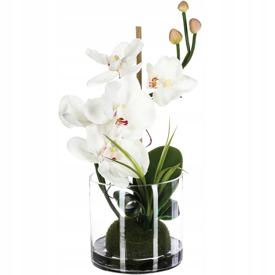 Umělá orchidej v skleněné váze, 37 x 18 cm