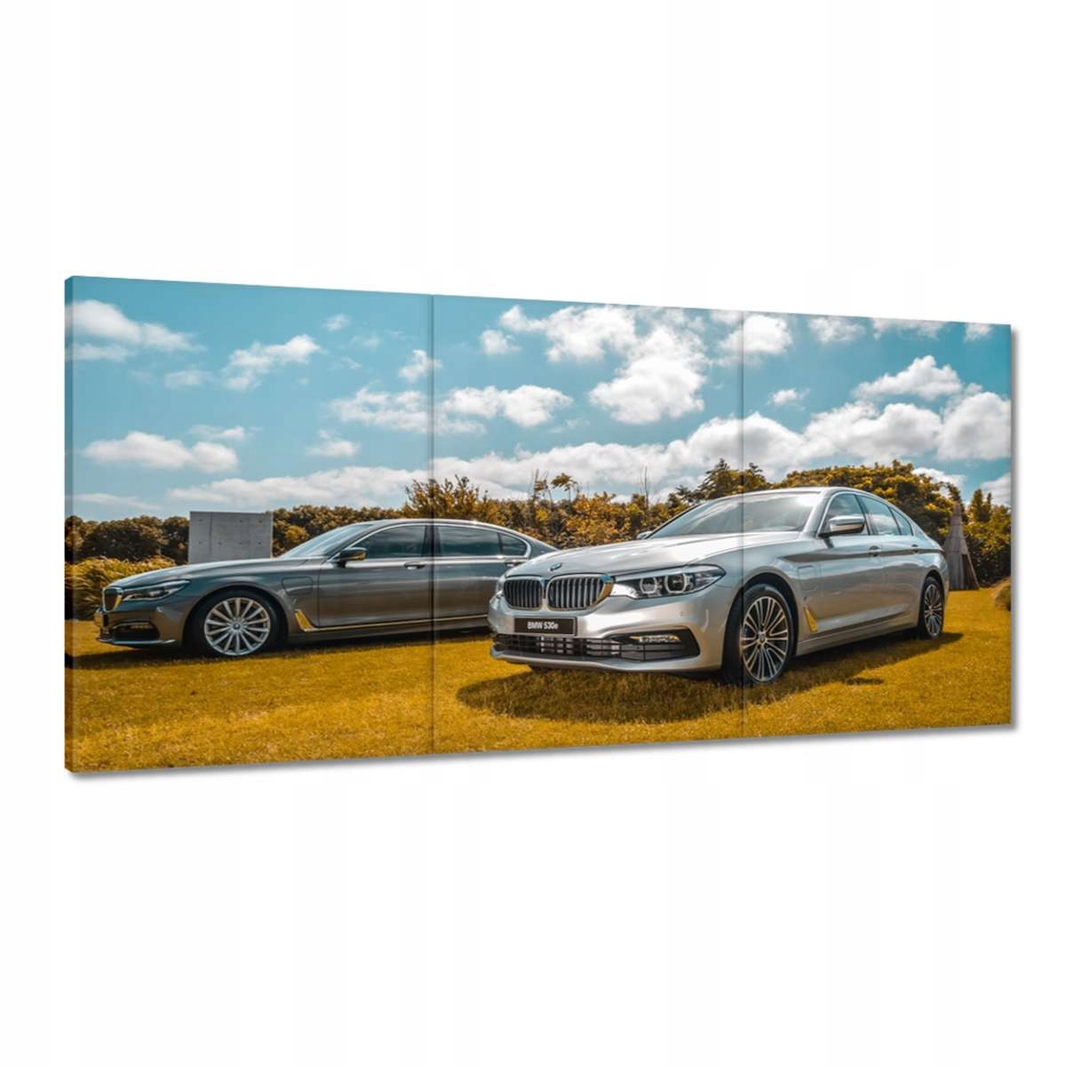 Obrazy 180x90 Športové auto