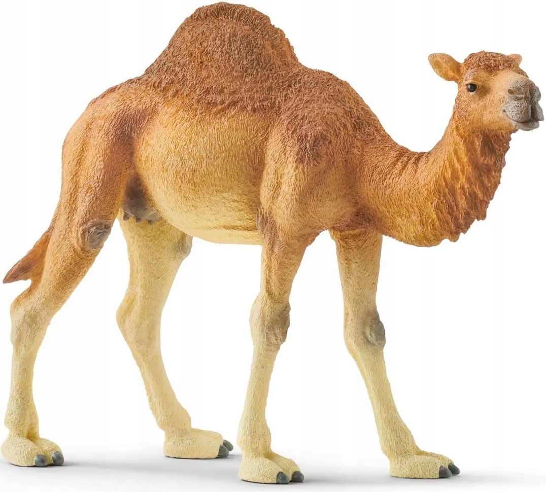 

Schleich 14832 Dromader Wielbłąd Figurka Wild Life