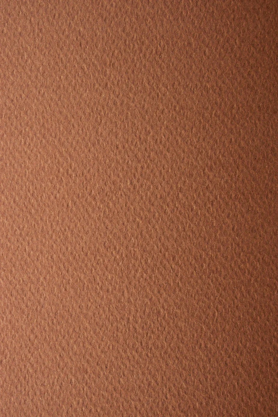 

Papier brystol dla plastyków 220g brązowy 10A3