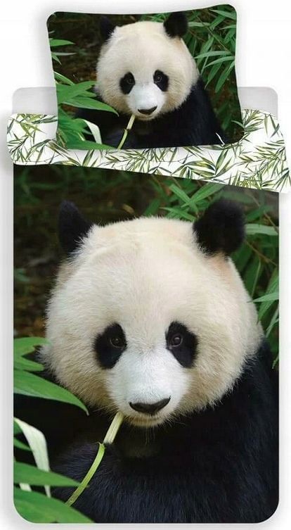 

Panda Liście Miś Palma Pościel Młodzieżowa 140x200