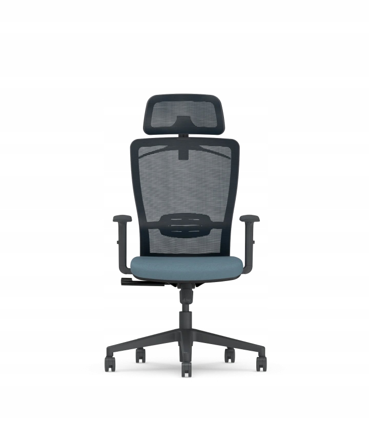 Fotel Biurowy Ergonomiczny Siatka Regulowany Flexispot BS3 Szary