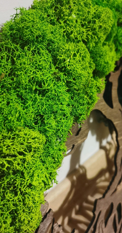 OBRAZ DRZEWO ŻYCIA MECH DEKORACYJNY CHROBOTEK 40CM Marka Decorator