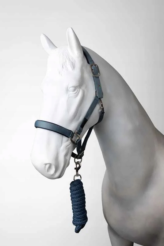 Kantar z uwiązem dla konia Horze Lucca 25AW z neoprenem niebieski Full