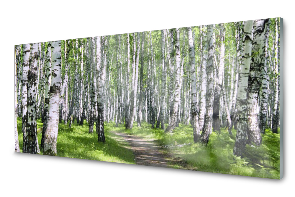 

Panel szklany do kuchni Las Ścieżka 125x50