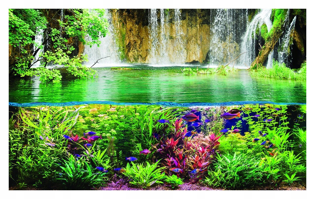 Fototapeta vlies Vodopád exotický raj s rybami relax 350x250 lepidlo