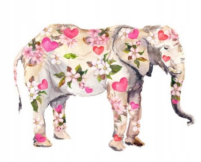 TERMO NAKLEJKA APLIKACJA NAPRASOWANKA KOLOROWY SŁOŃ X-9