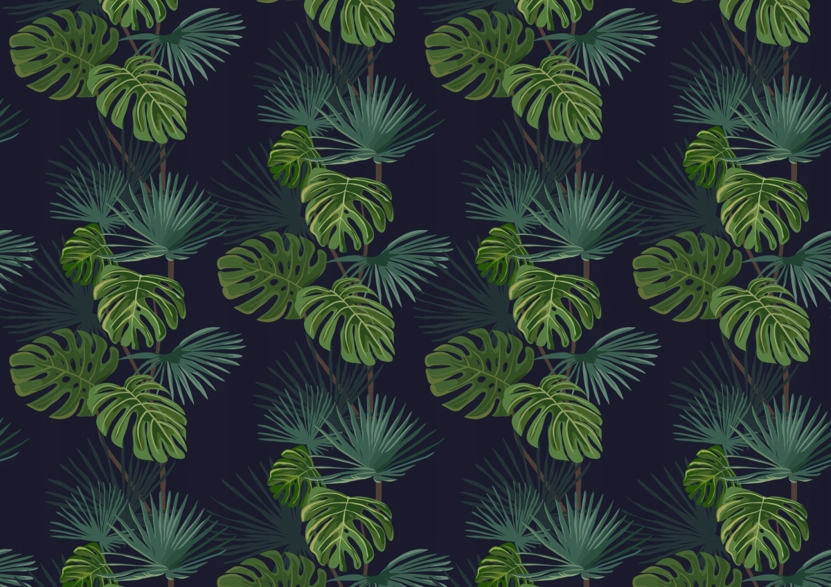 

Tapeta Flizelinowa Monstera dziurawa - 312x219