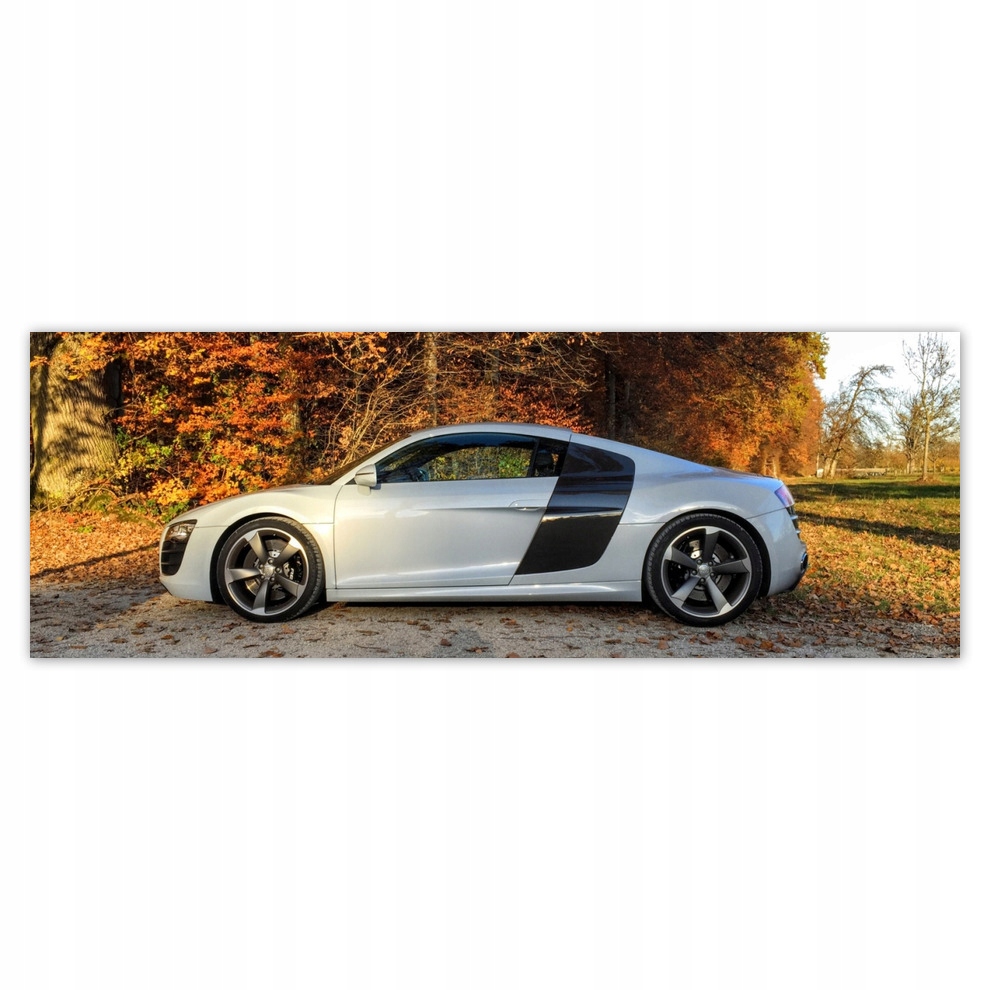 Fototapety flizelina 624x219 Białe Audi Tt