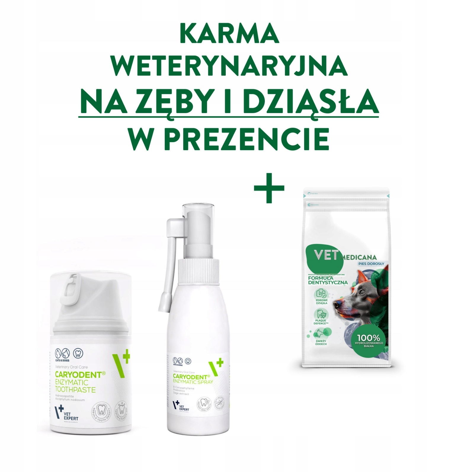 Vet Expert Caryodent zestaw pasta i spray do zębów -na kamień dla psa kota