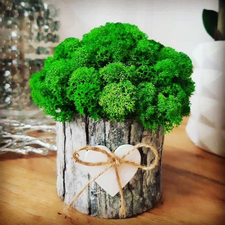 DEKORACJA MECH CHROBOTEK KUBEŁEK OZDOBA DO DOMU Wysokość produktu 14 cm