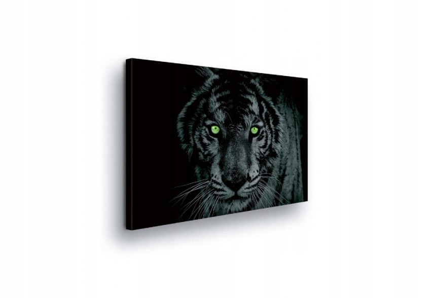 Obraz 100x75 Tygr pohled zelené oči dravec divoká příroda síla