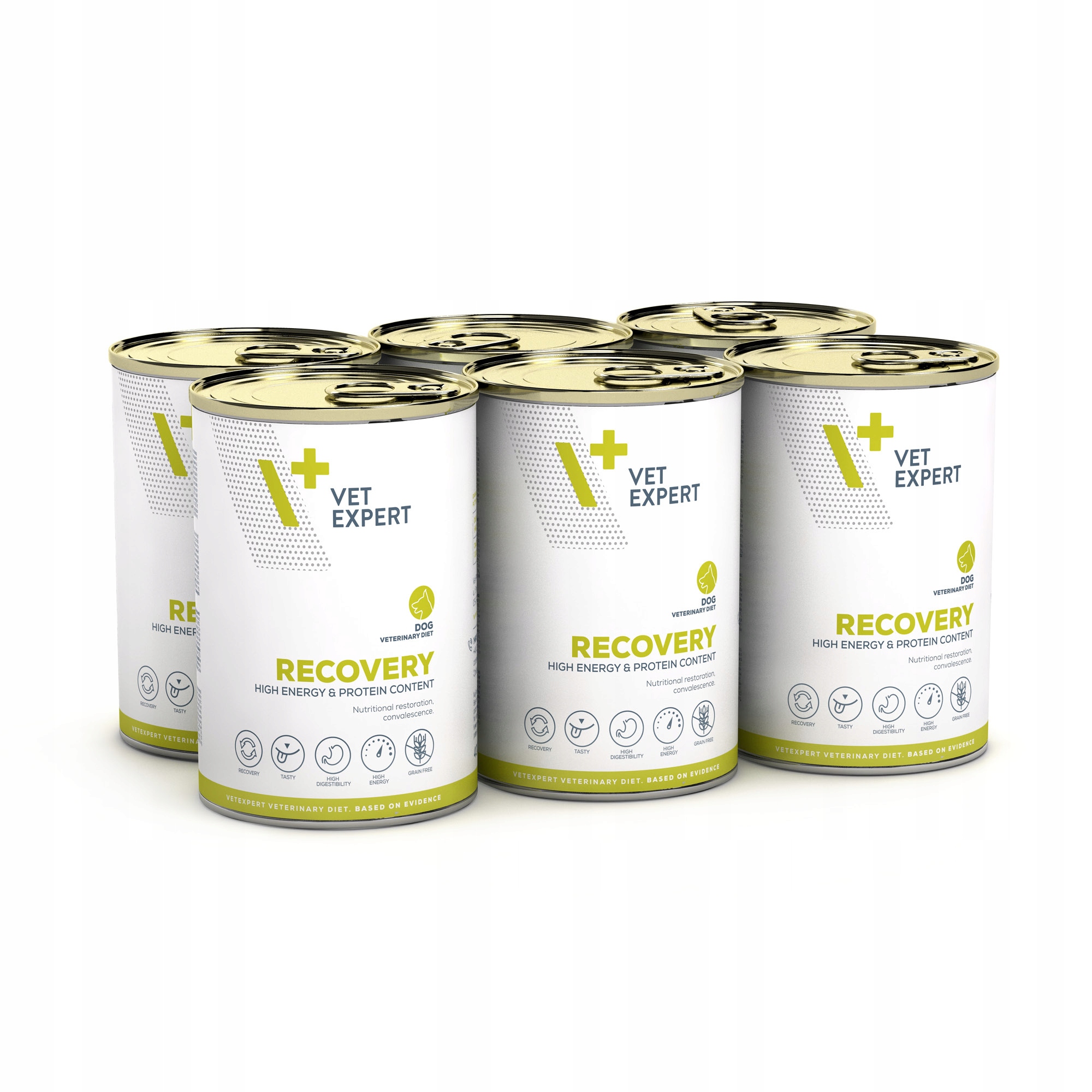 Mokra karma dla psa weterynaryjna Vet Expert Recovery Dog 6x400 po chorobie