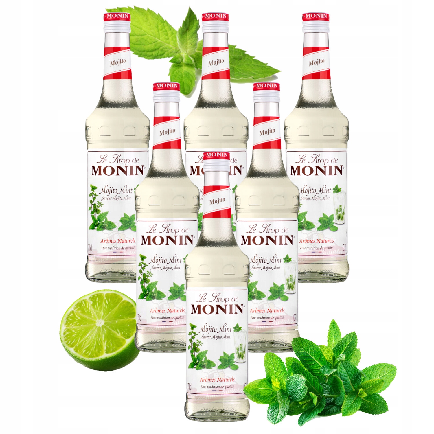 Zestaw Syrop smakowy Monin Mojito Mint 6x700 ml