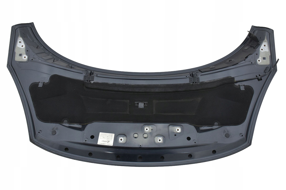 Cofano RENAULT SCENIC III 3