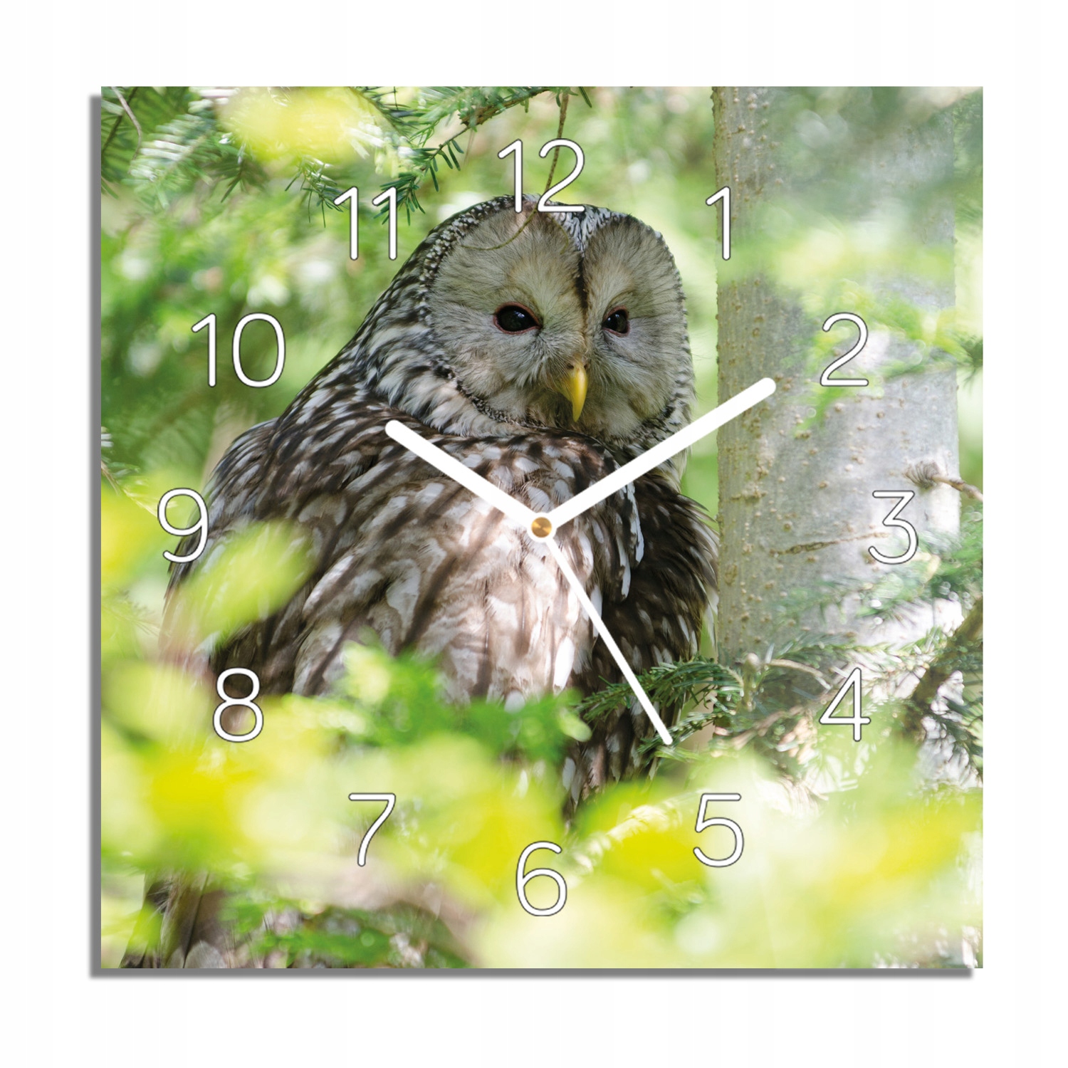 

Sowa ptak drzewo las zegar na szkle 30x30 cichy