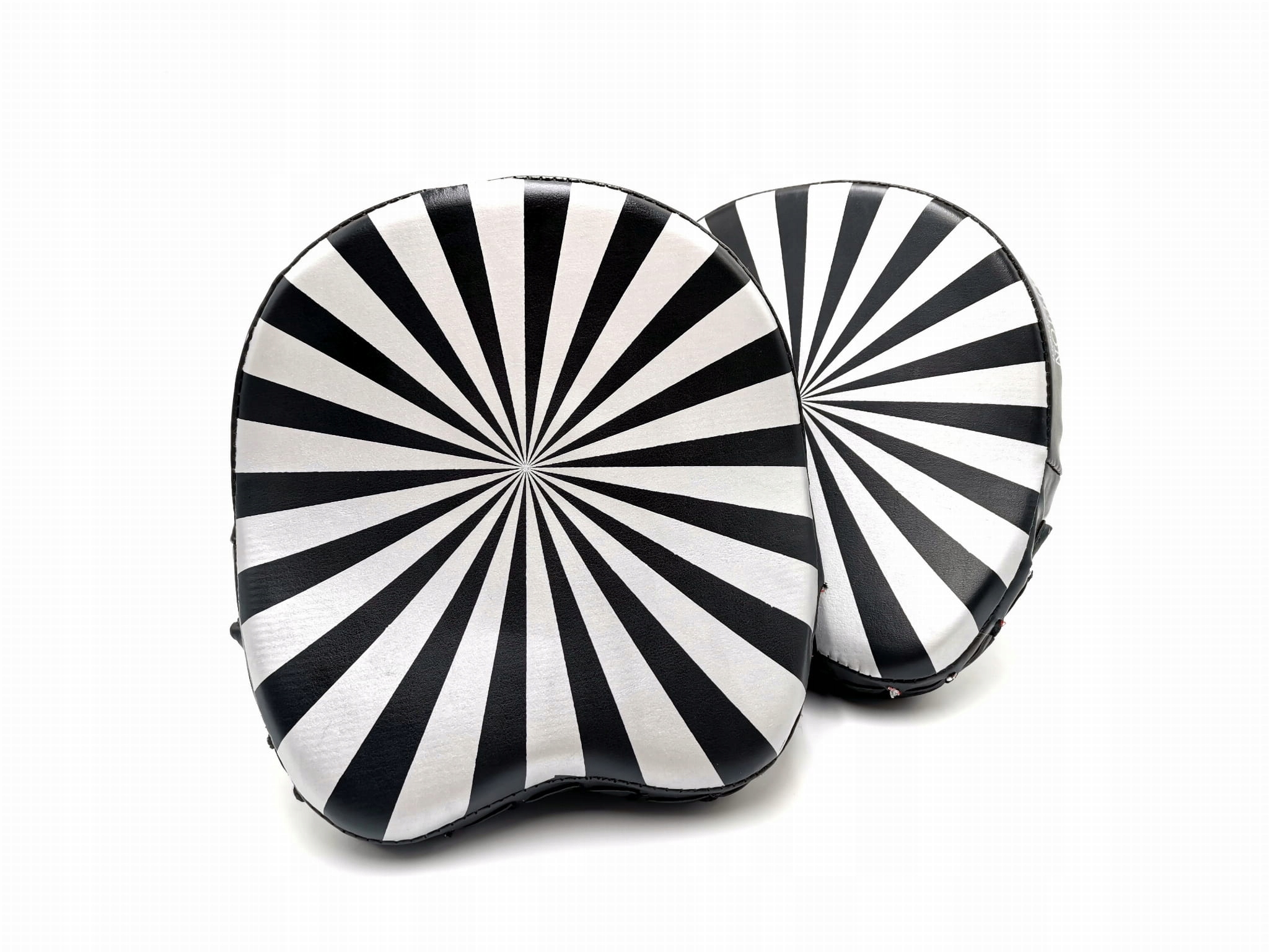 

Łapy Tarcze Trenera Profilowane Evolution Hypno