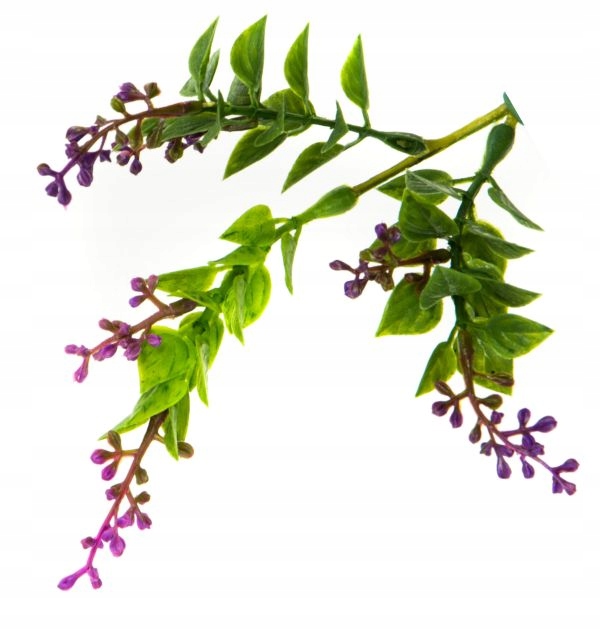 Trawa gałązka kwitnąca TRAWKA x 3 Lilac