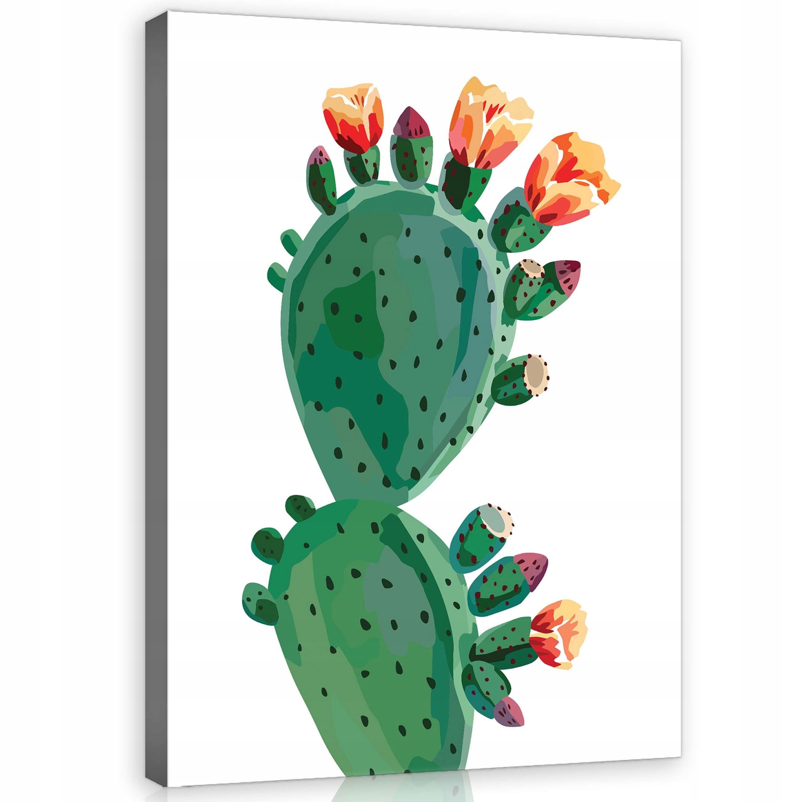 Obraz 75x100 Kaktus Opuncie květiny botanika příroda poušť ilustrace