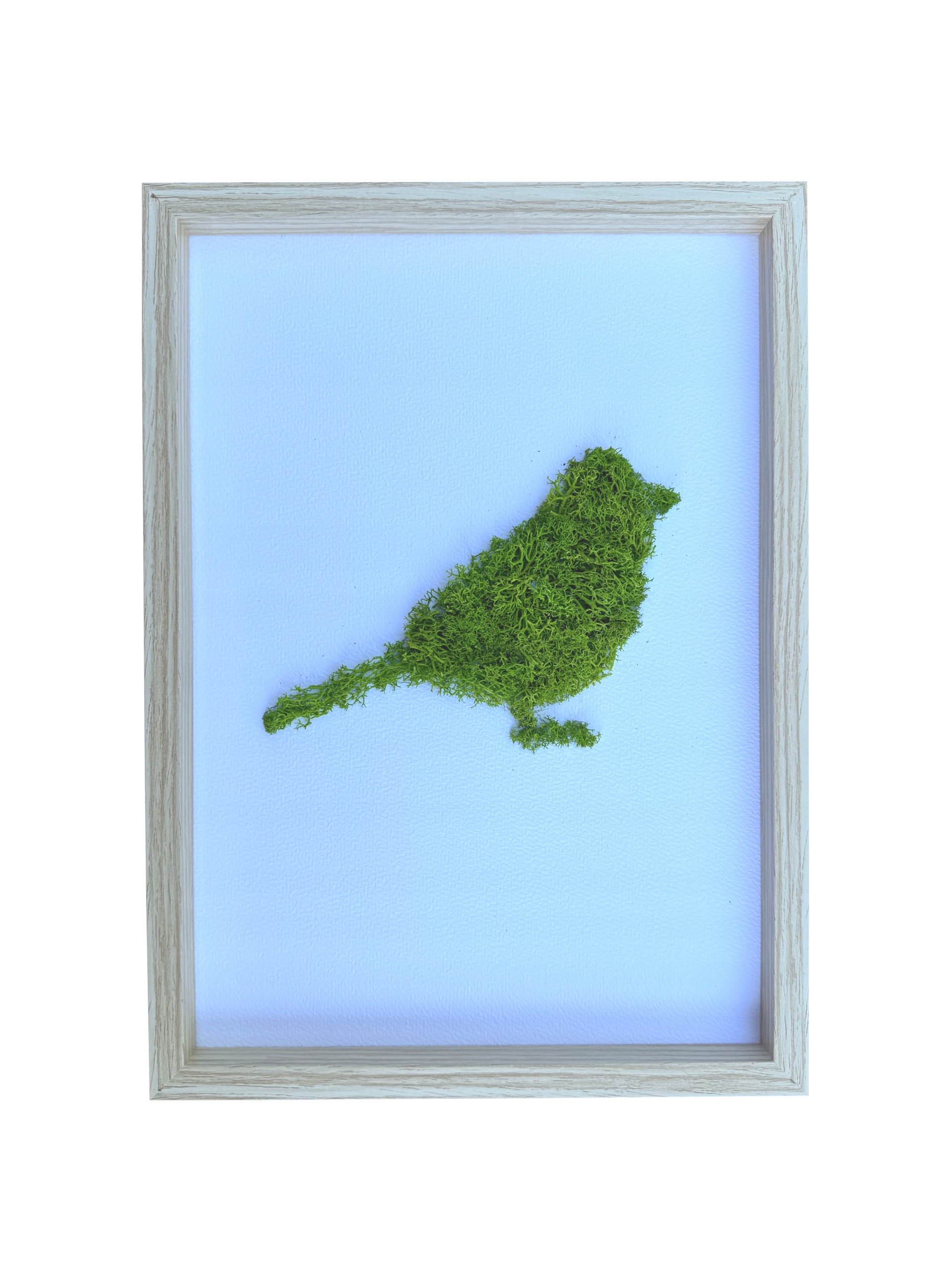 OBRAZ MECH CHROBOTEK WRÓBEL PTAK PREZENT