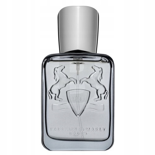 Parfums de Marly Castley parfémovaná voda pro muže 75 ml